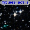 TYC 9065-1077-1