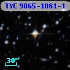 TYC 9065-1081-1
