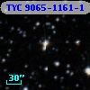 TYC 9065-1161-1