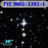 TYC 9065-1393-1