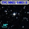 TYC 9065-1403-1