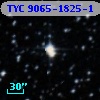 TYC 9065-1825-1