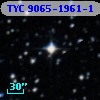 TYC 9065-1961-1