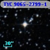 TYC 9065-2799-1