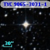 TYC 9065-3031-1