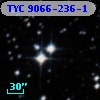 TYC 9066-236-1