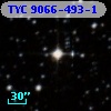 TYC 9066-493-1