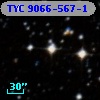TYC 9066-567-1
