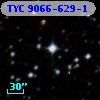 TYC 9066-629-1