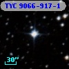 TYC 9066-917-1