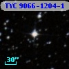 TYC 9066-1204-1