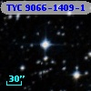 TYC 9066-1409-1