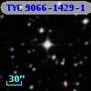 TYC 9066-1429-1
