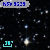 NSV  9529