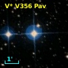 V* V356 Pav