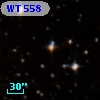 WT  558