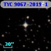 TYC 9067-2019-1