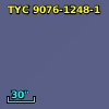 TYC 9076-1248-1