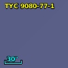 TYC 9080-77-1
