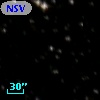 NSV 10979