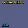 TYC 9076-185-1