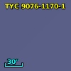 TYC 9076-1170-1