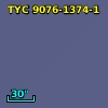 TYC 9076-1374-1