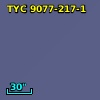 TYC 9077-217-1