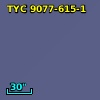 TYC 9077-615-1