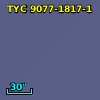 TYC 9077-1817-1