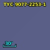 TYC 9077-2253-1