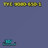 TYC 9080-650-1
