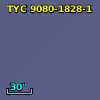 TYC 9080-1828-1