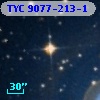 TYC 9077-213-1