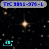 TYC 9081-978-1