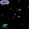 NSV 11564