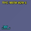 TYC 9078-829-1