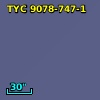 TYC 9078-747-1