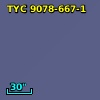 TYC 9078-667-1