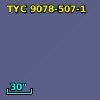 TYC 9078-507-1
