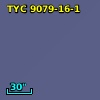 TYC 9079-16-1