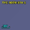 TYC 9079-374-1