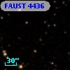 FAUST 4436