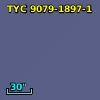 TYC 9079-1897-1