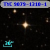 TYC 9079-1310-1