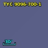 TYC 9096-700-1