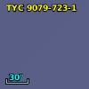 TYC 9079-723-1