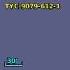 TYC 9079-612-1