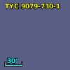 TYC 9079-730-1