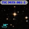 TYC 9079-901-1